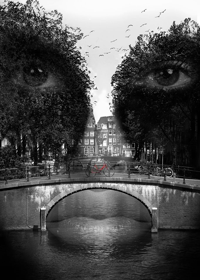 Amsterdam City Face Canals