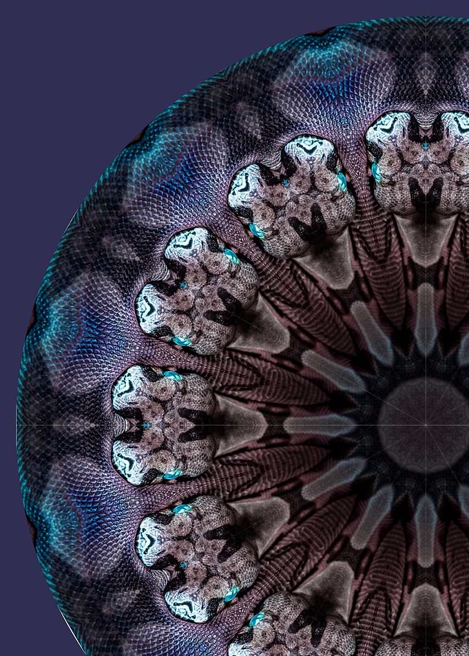 Snake Mandala II