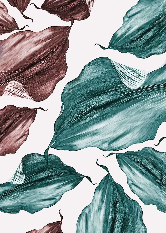 Floral Leaf Image