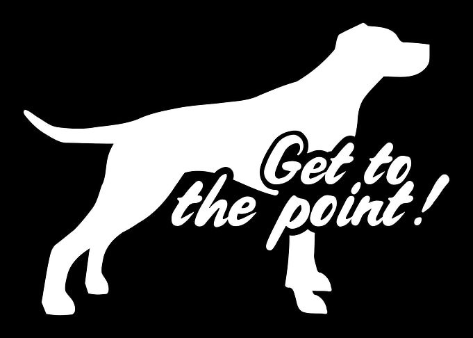 English Pointer