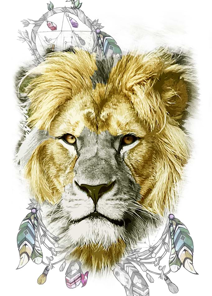 Lion and a dreamcatcher