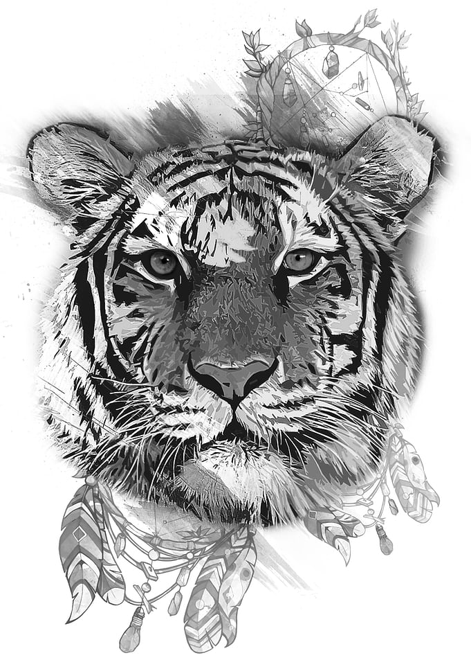Tiger with dreamcatcher