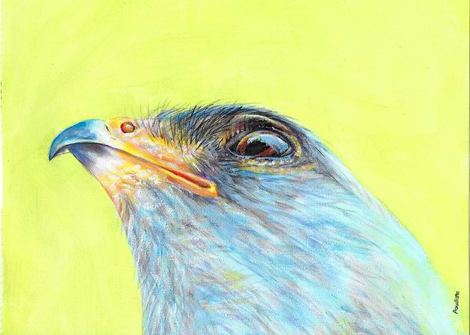 wild bird