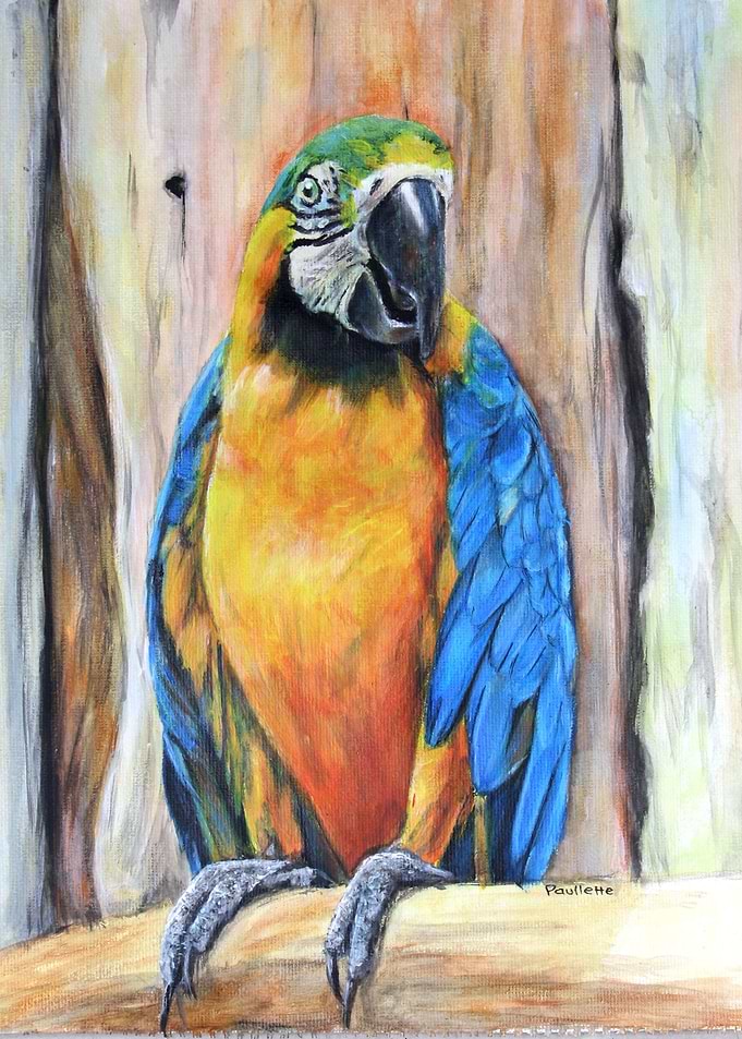parrot