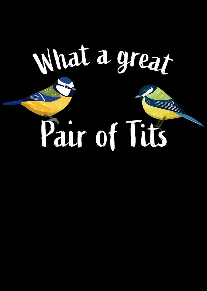 Funny Bird watching gift