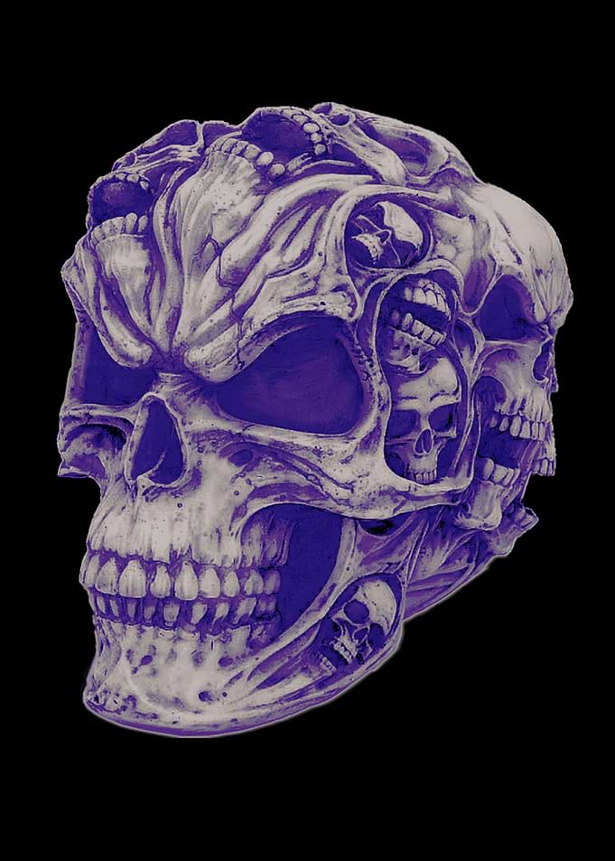 Skull
