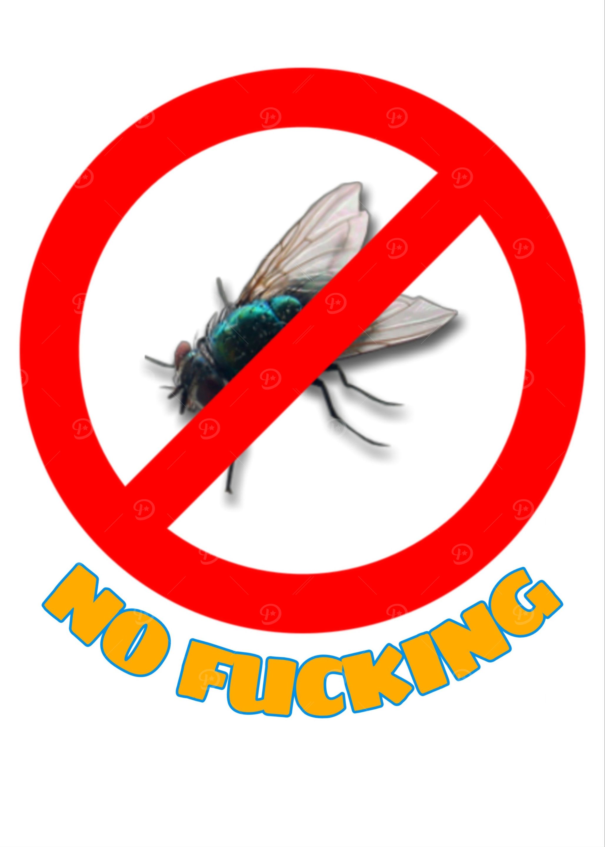 housefly