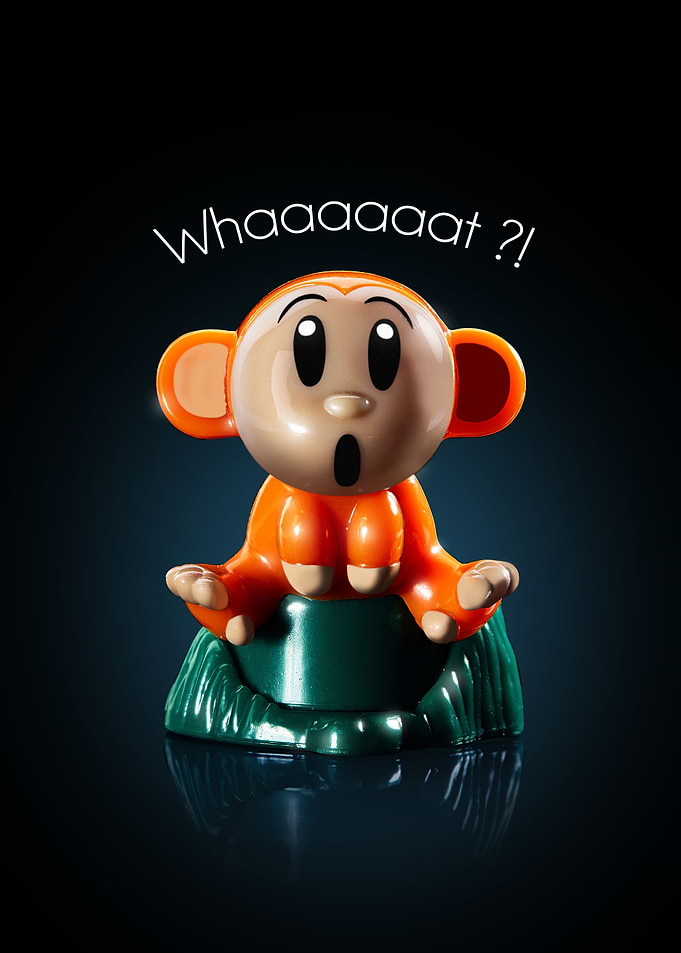 Monkey asked Whaaatt