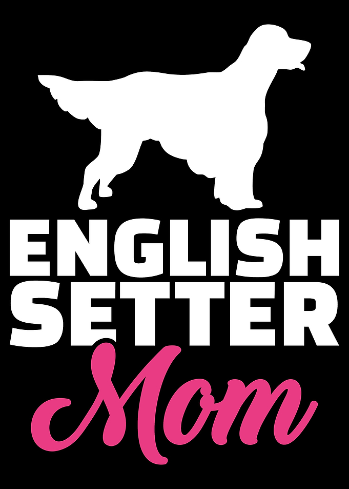 English Setter