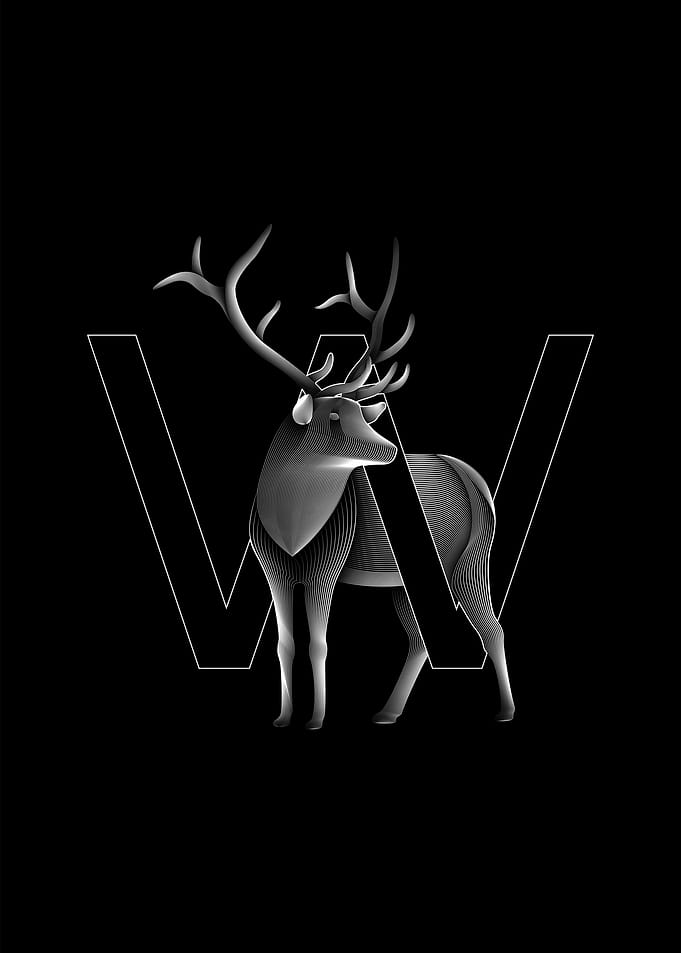 Wapiti