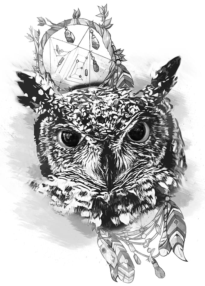 Owl with dreamcatcher