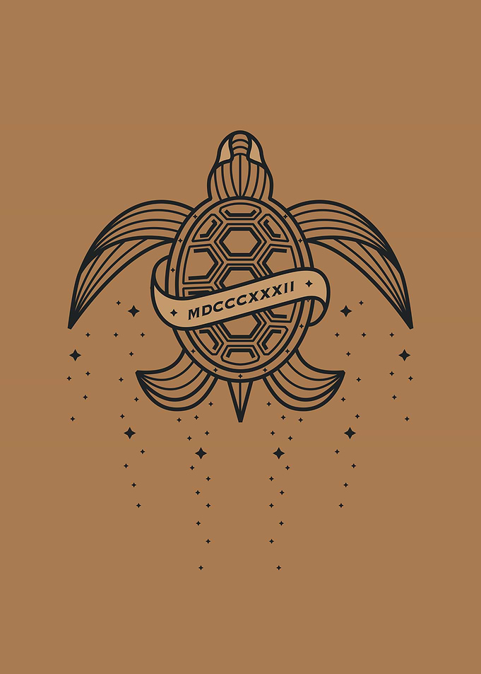 Magical Tortoise