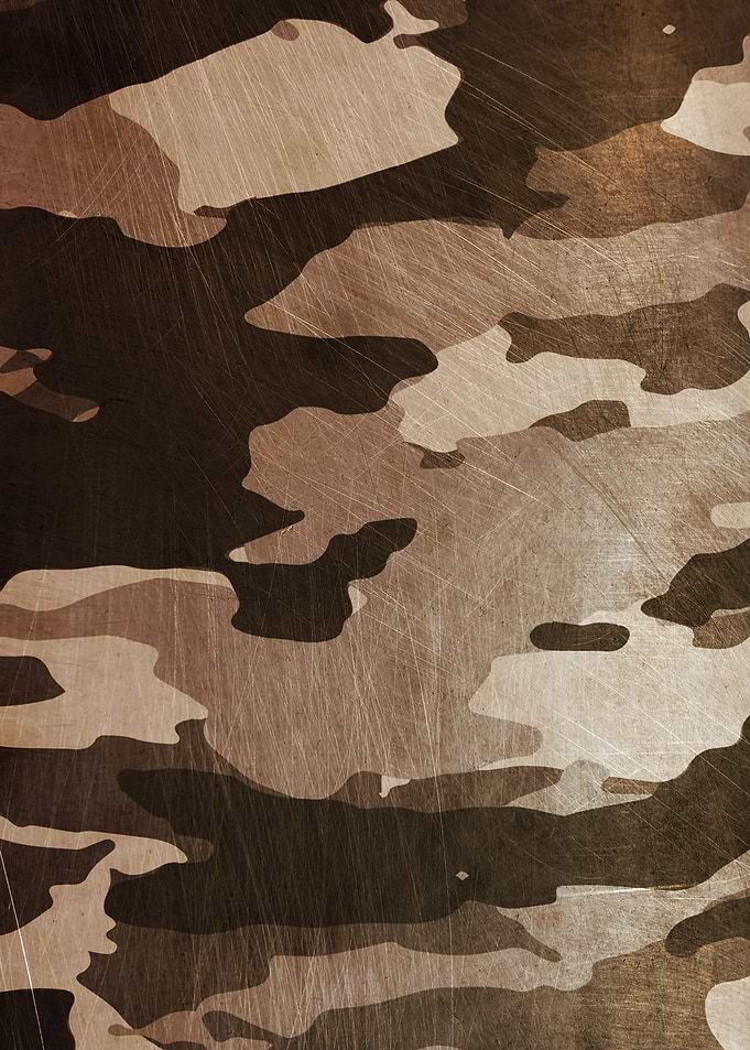 Camouflage Pattern