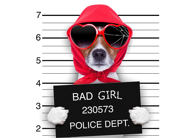 Bad Dog