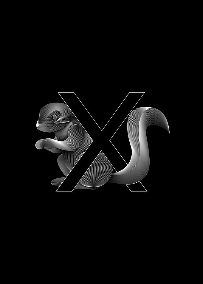 Xerus