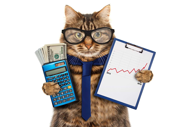 Cat Businessmem