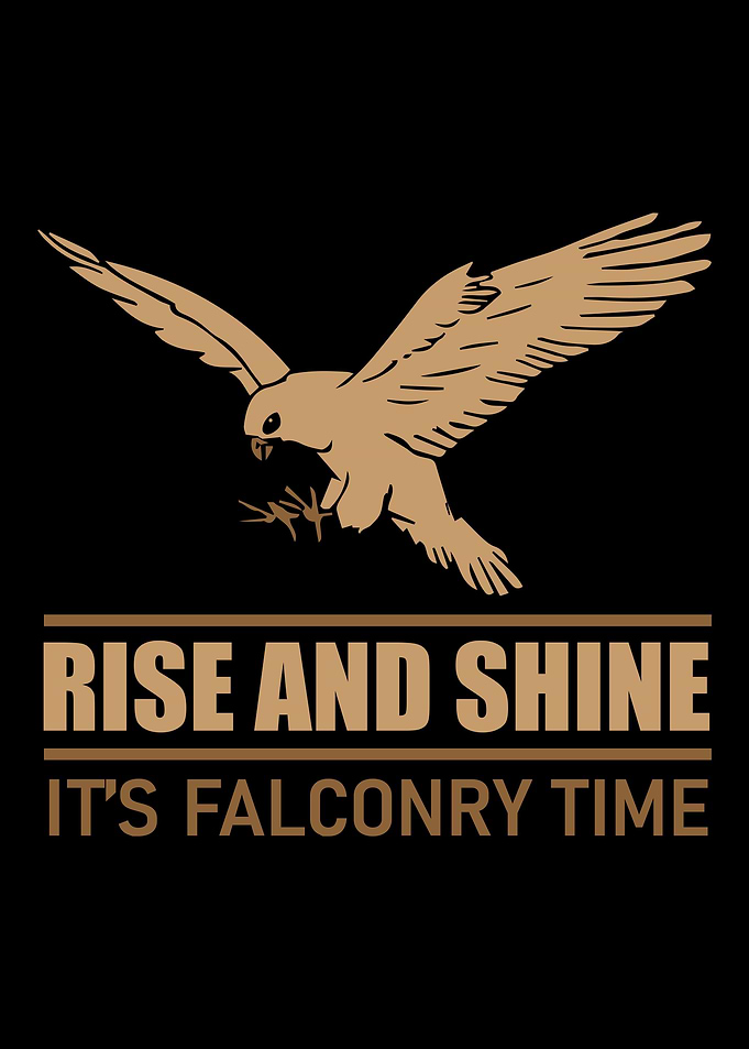 Falconry Falcon Bird Lover
