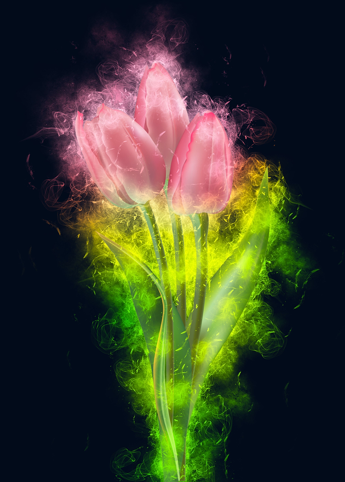 pink tulip smoky