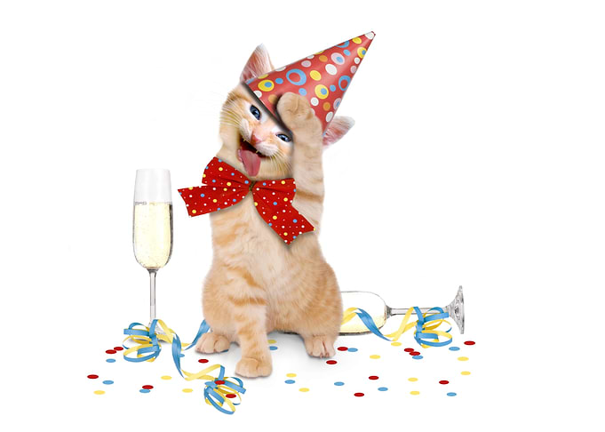 Celebration Cat