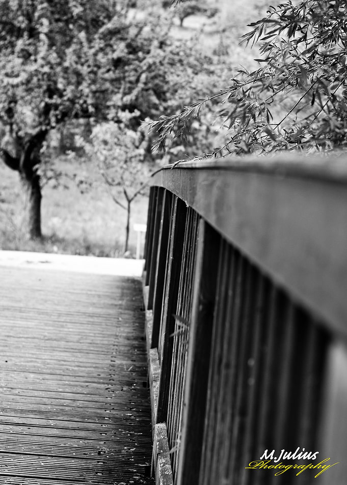 Bridge