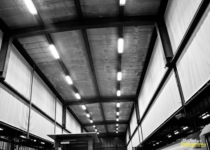 the roof