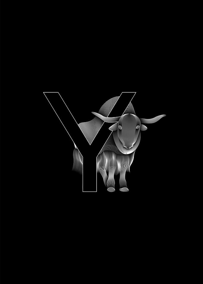 Yak