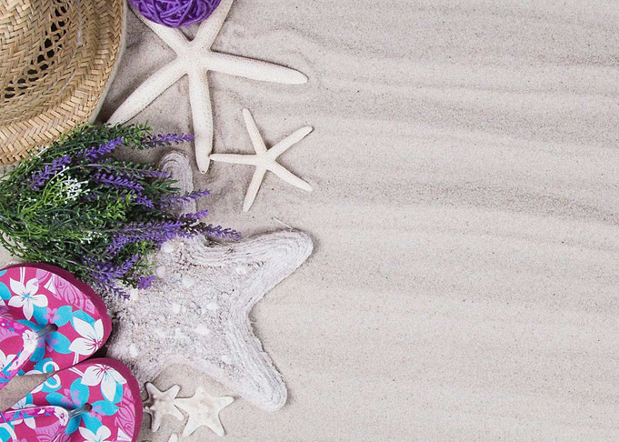 Starfish Animal Sea