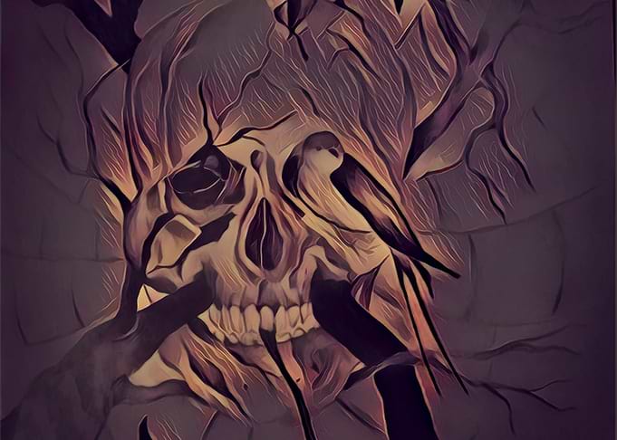 skull