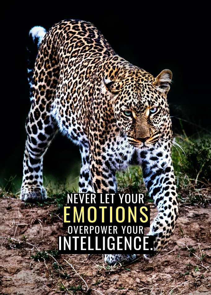 Emotions and Intelligence