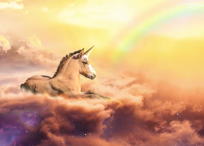 I am a unicone