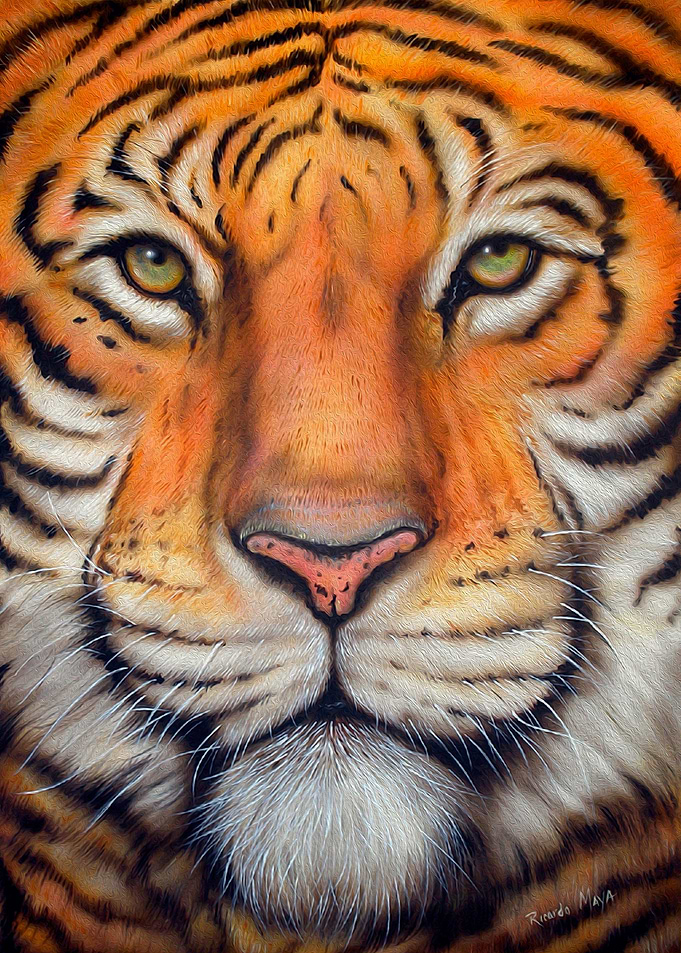 Tiger King