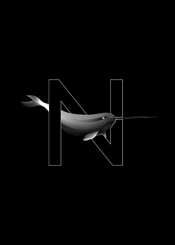 Narwhal