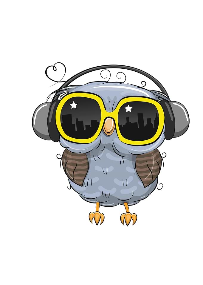 Be Cool Owl