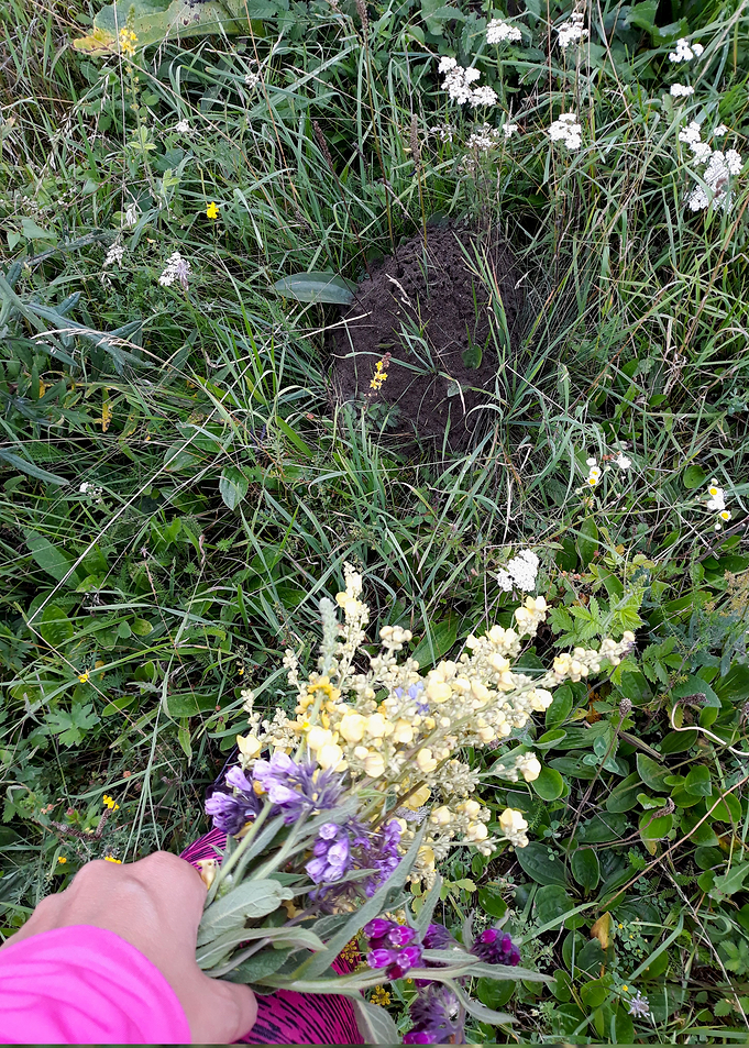 Wildflowers bouquet