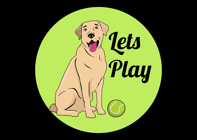 Lets Play Cute Dog Bree