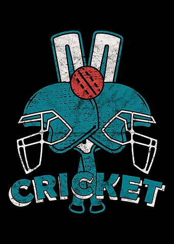 Cricket Player