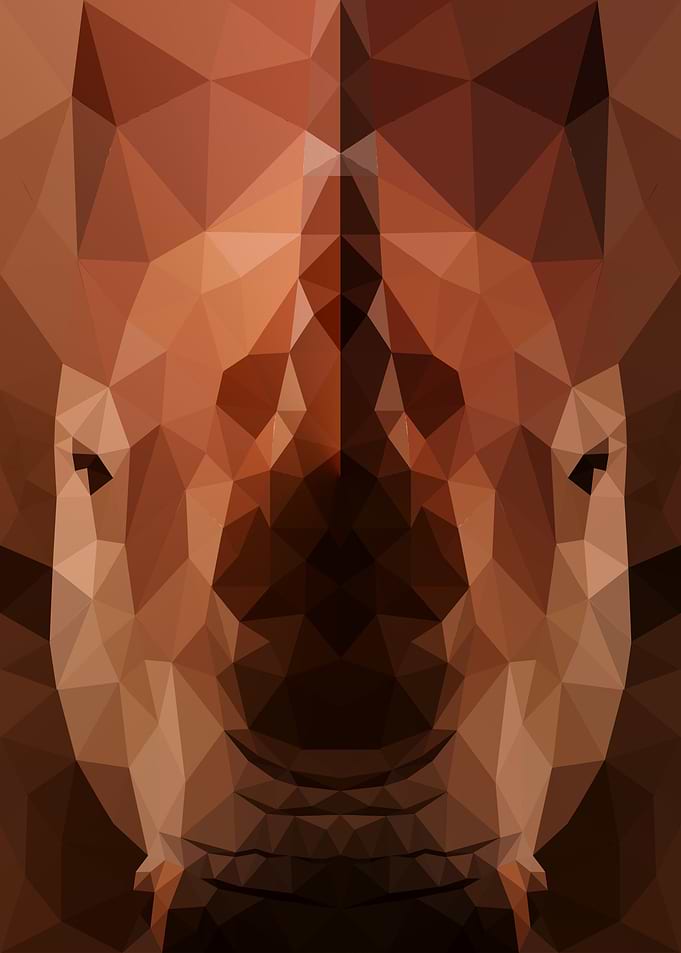 Rhino