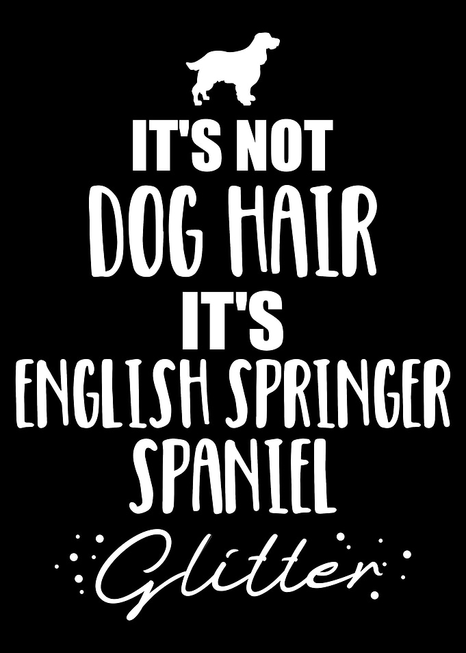 English Springer Spaniel