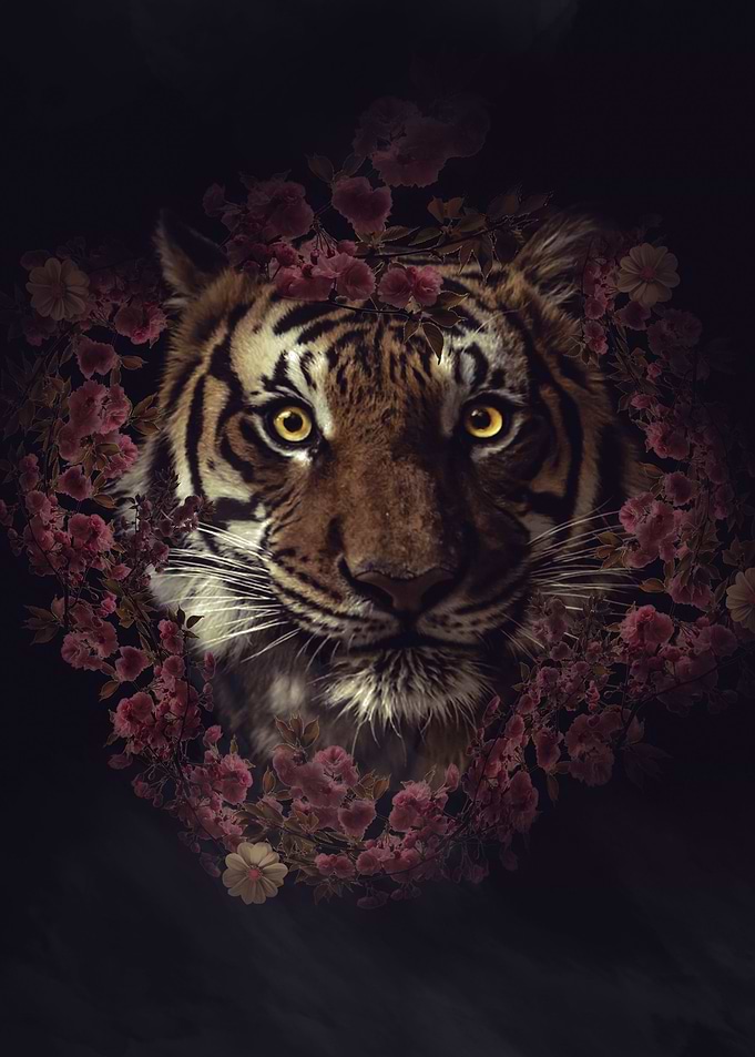 Tiger Flower
