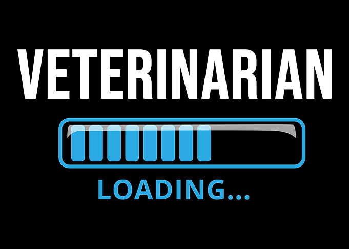 Veterinarian Loading Cut