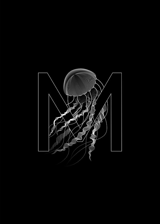 Meduse