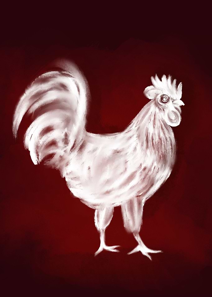 Rooster