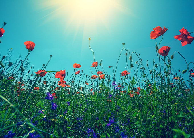 Background Beautiful Beaut