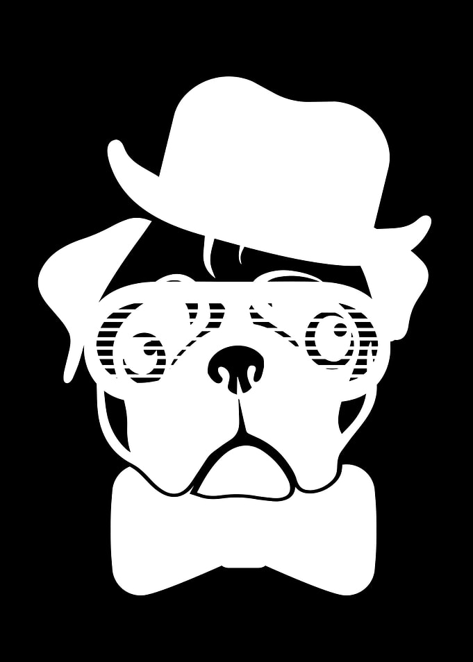 Pug Dog