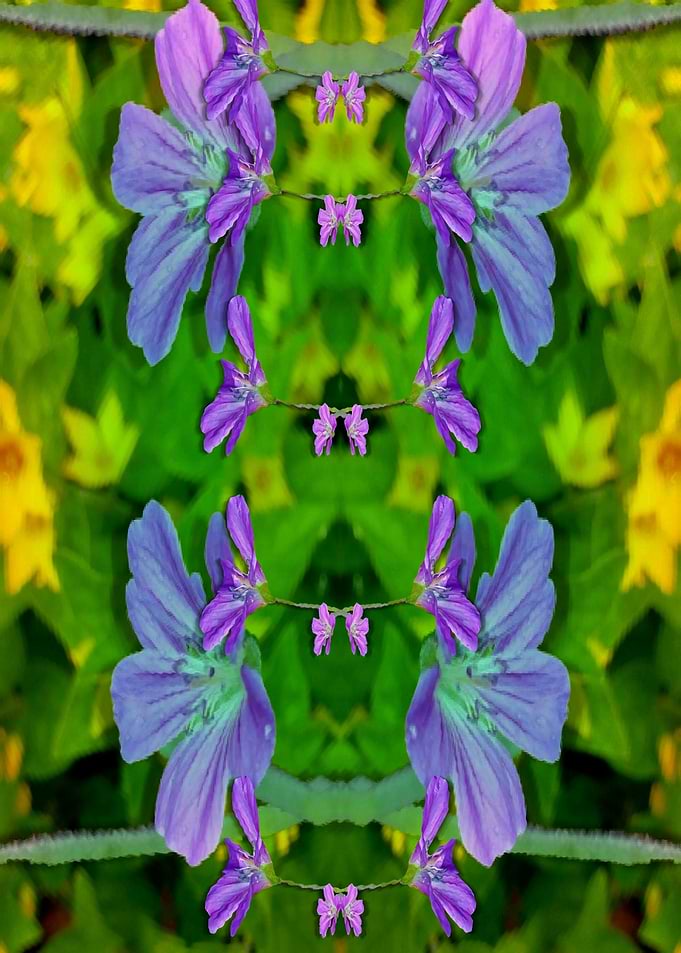 Flowers Love With Summer