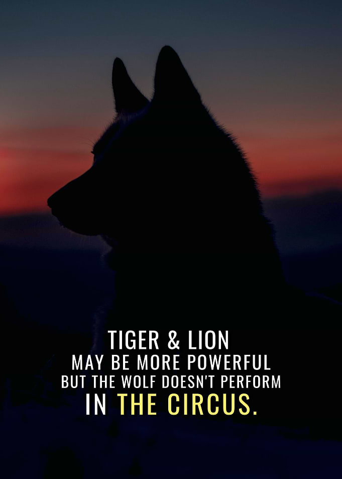 Wolf Circus