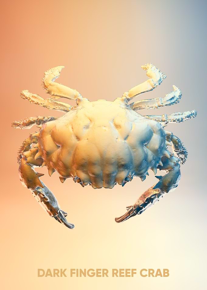 sea dark finger reef crab