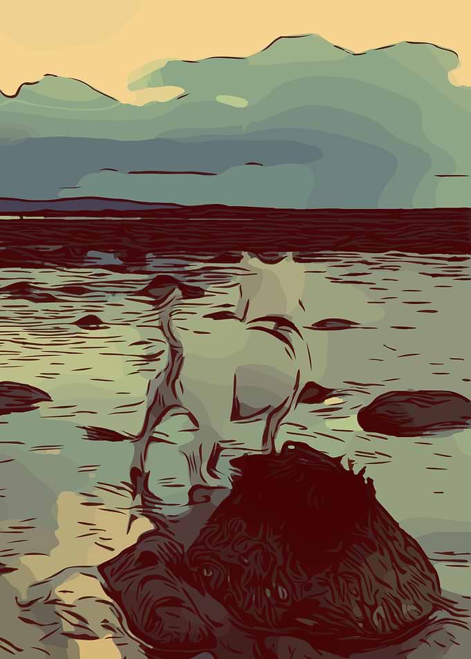 Westie by the Shore