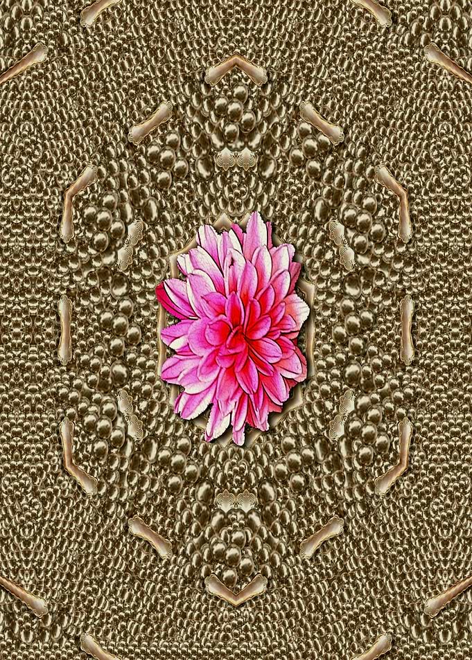 Earth Can Be A flower