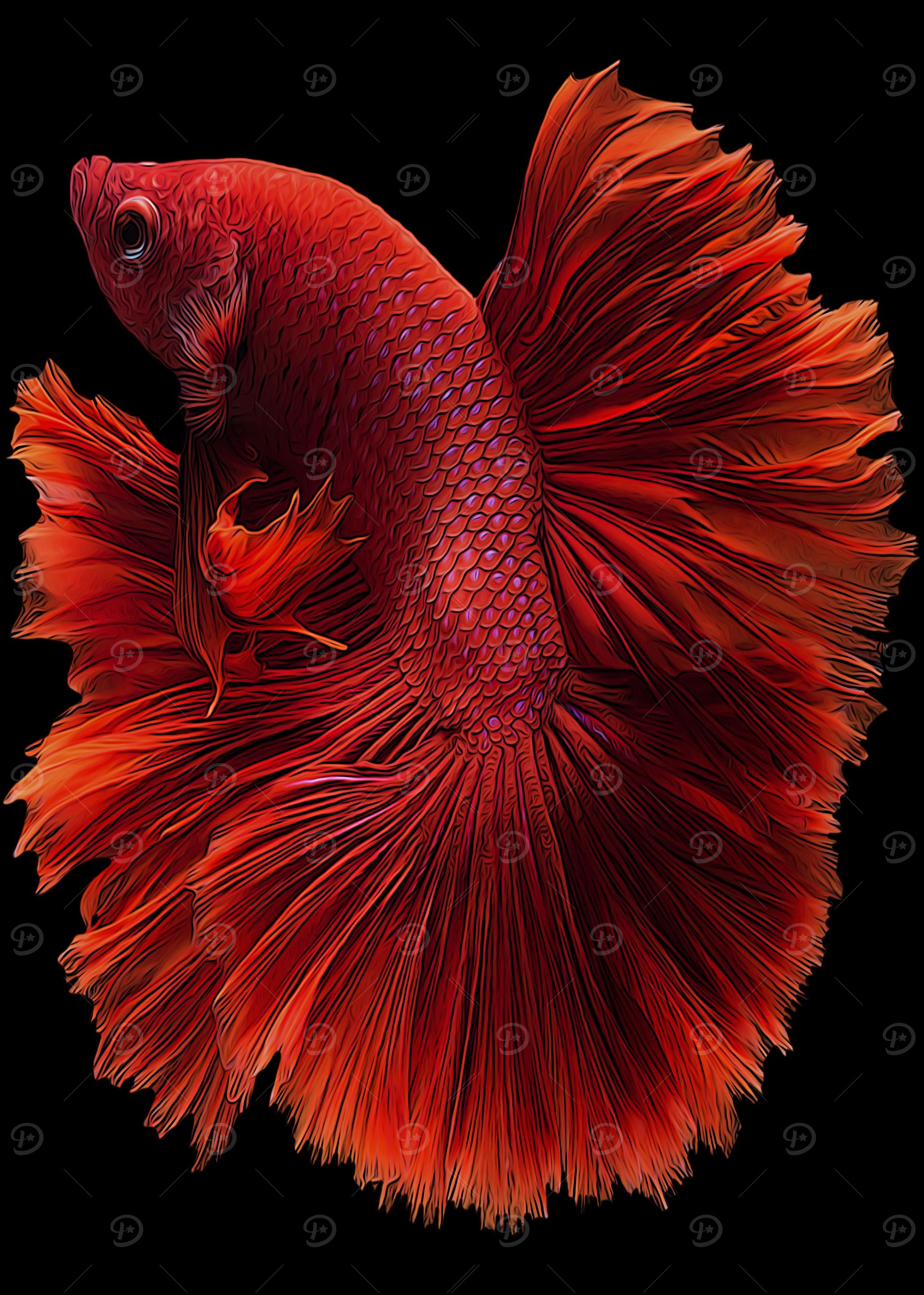 Red Betta Fish